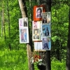Панихида по жертвам «красного террора» состоится на Ржевском полигоне под Санкт-Петербургом